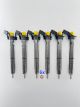 6x INJEKTOR 3.0 TDI  0445117026 0445117027 0986435453 VW Audi EURO 5 - 2000BAR